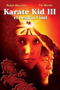Karate Kid III. El desafío final online HD español repelishd